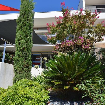 Hotel Les Eucalyptus Porto Pollo Exteriör bild