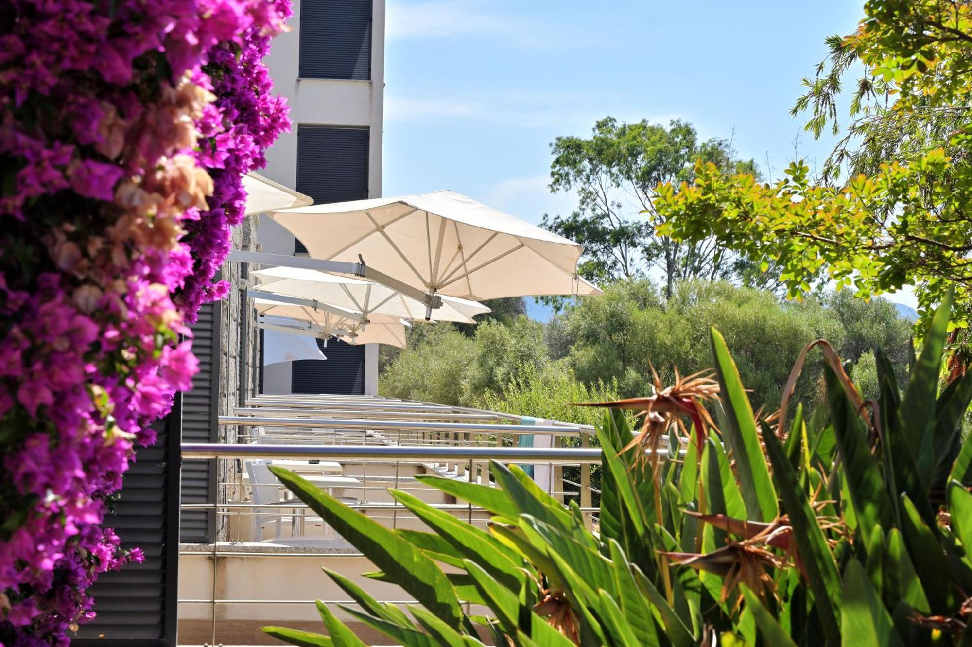 Hotel Les Eucalyptus Porto Pollo Exteriör bild